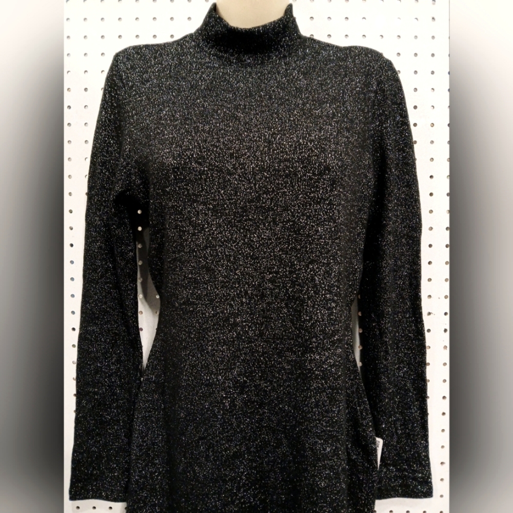 Zara Black Sheath Dress with Mock Neck and Long Sleeves